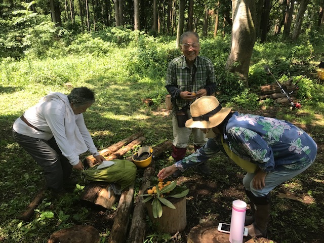 ヤマアジサイ100株植樹に向けた下刈り完了6・1_c0014967_05262903.jpg