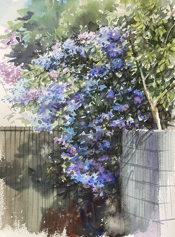 6月の色パート２ 赤坂孝史の水彩画