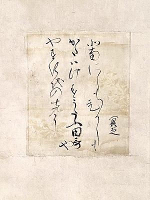 展示替のお知らせ【白金】　6月1日(火)～7月10日(土)_d0208992_16232542.jpg