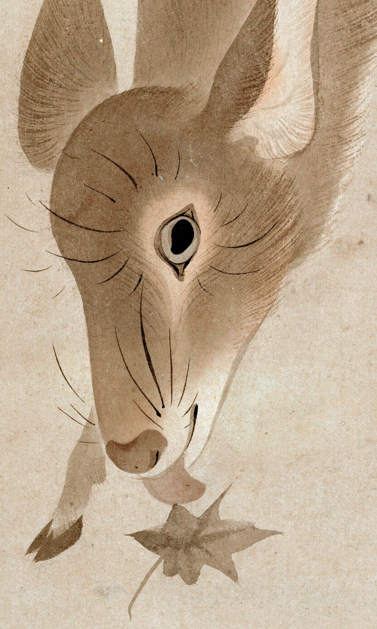 Cb タイト Tr ラップ風 Label タイト ラップ風 スカート Relaxing グリーンレーベルリラクシング のファッション スカート スカート Green