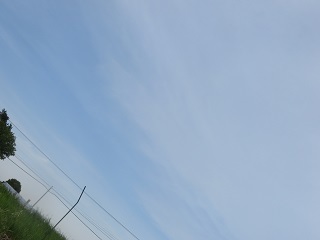 明日は雨予報が出ているので、それに期待して_b0405523_02202030.jpg