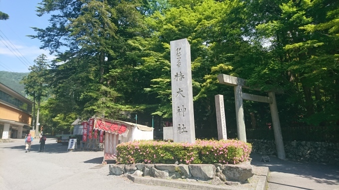 椿大神 の名前の由来 目からウロコの地名由来