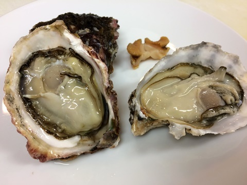 真牡蠣と岩牡蠣と茶ツブ イル レオーネ 千林大宮駅近くのシェフソムリエのブログ
