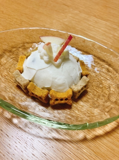 ショコラ10歳。_f0344865_23081953.jpeg