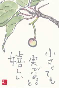 サクラの実「小さくても実がなると嬉しい」_b0124466_16561831.jpg