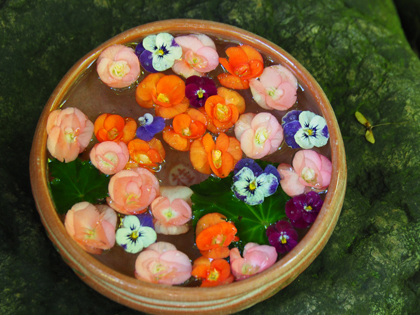 鎌倉 一条恵観山荘の花手水 ひつじのつぶやき