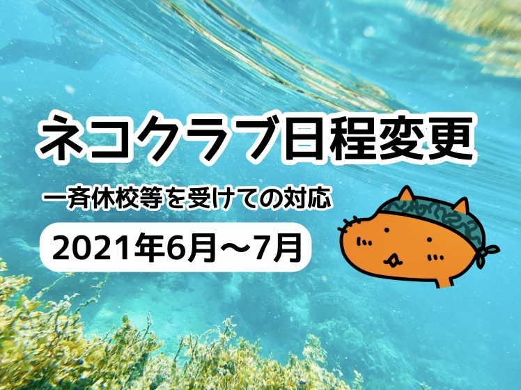 お知らせ◆ネコクラブの日程変更(2021年6~7月)沖縄県の新型コロナ対策強化に基づく開催延期(6/4)_d0363878_17181281.jpg