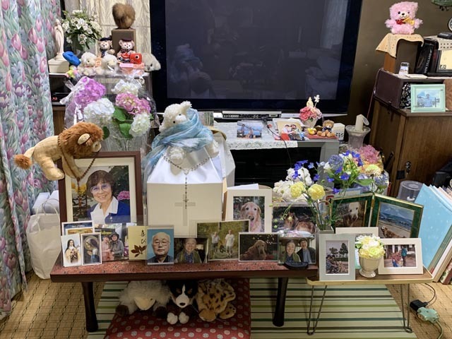 代引き不可 Rope Picnic ロペピクニック のシャツ ブラウス ゴールドバー付きブラウス Gdh をセール価格で購入できます Rope セール Rope Picnic ロペピクニック のファッション シャツ ブラウス ゴールドバー付きブラウス シャツ ブラウス