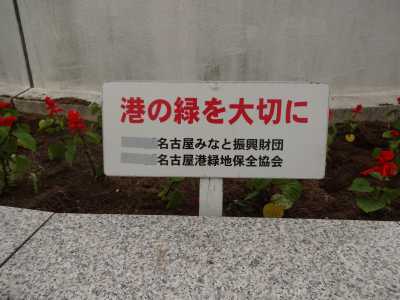 名古屋港水族館前花壇の植栽R3.6.2_d0338682_15030345.jpg