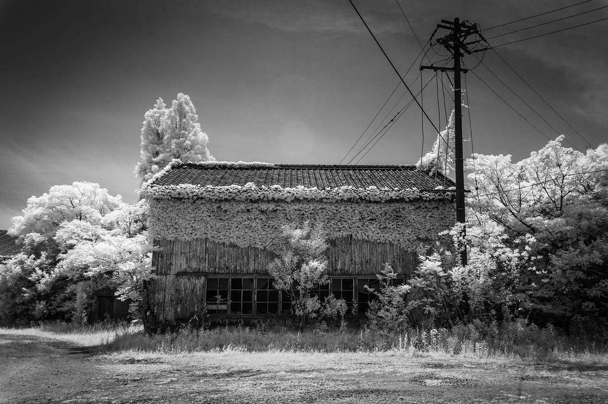 インフラ映えする廃工場_d0353489_19534267.jpg