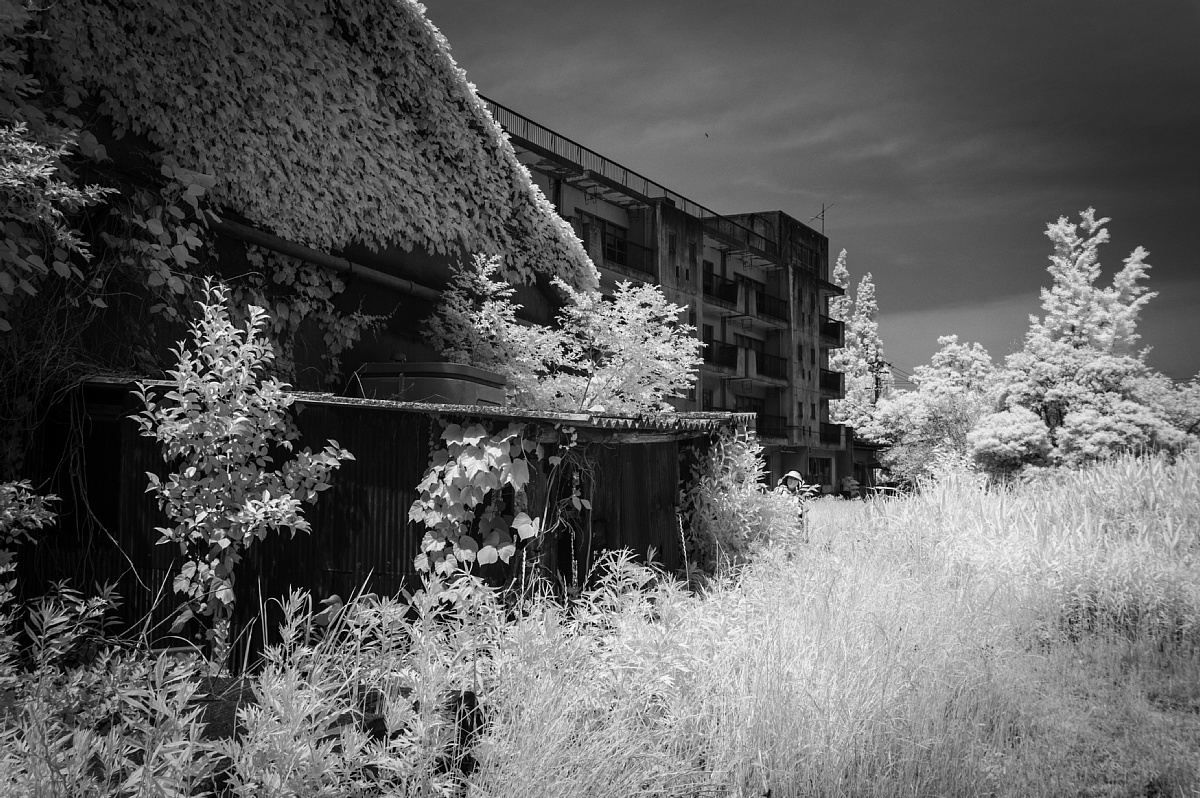 インフラ映えする廃工場_d0353489_19541392.jpg