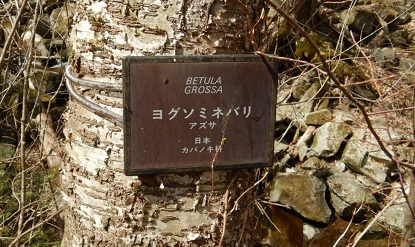 ひとくちヨウカン_e0077899_07432030.jpg