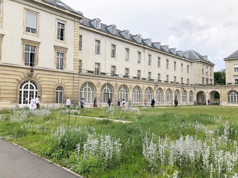 フランスのコロナワクチン接種、5月31日以来18歳以上の国民全員がアクセス可能です。_a0231632_15315797.jpeg
