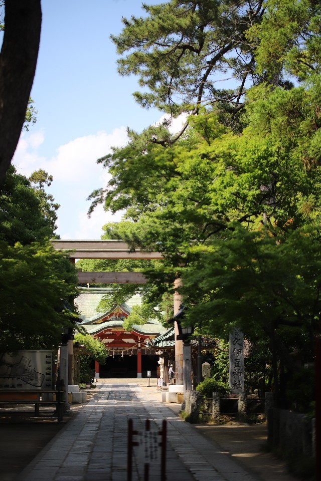 久伊豆神社でスピリチュアルな黒アゲハ そして仕事も営業再開しました 猫の部屋 久伊豆神社でスピリチュアルな黒アゲハ そして仕事も営業再開しました 猫の部屋