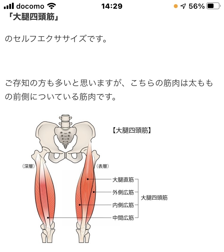 6 7 昨日1 5時間低スピードで散歩 朝から足不調 土作り前かがみで右足で踏み込む 腸腰筋と大腿直筋が交差部 筋肉痛 西能病院マッサージ診て貰おう ミツバチおじさん 6 7 昨日1 5時間低スピードで散歩 朝から足不調 土作り前かがみで右足で踏み込む 腸腰筋と大腿直筋が交差部 筋肉痛 西能病院マッサージ診て貰おう ミツバチおじさん