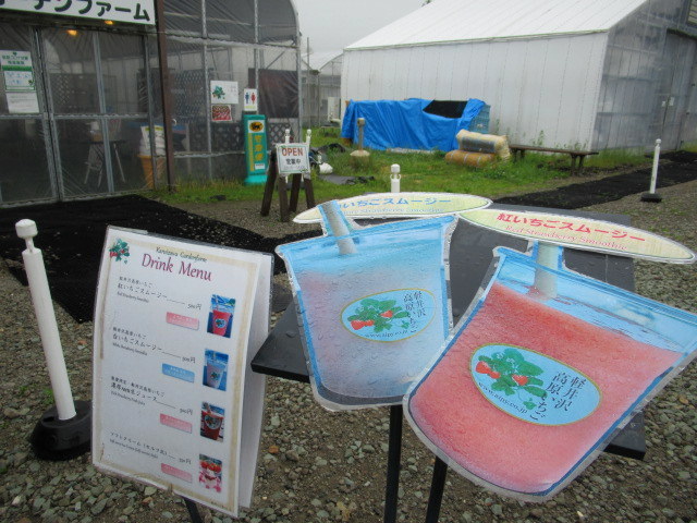 軽井沢ガーデンファーム いちご園 長野県民割引きでお得にいちご狩り ぴきょログ 軽井沢でぐーたら生活