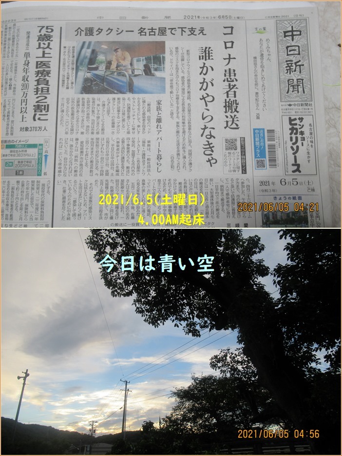 梅雨の季節はびわと真竹の筍 雑草防止で耕運機大活躍 小次郎じじ物語 梅雨の季節はびわと真竹の筍 雑草防止で耕運機大活躍 小次郎じじ物語