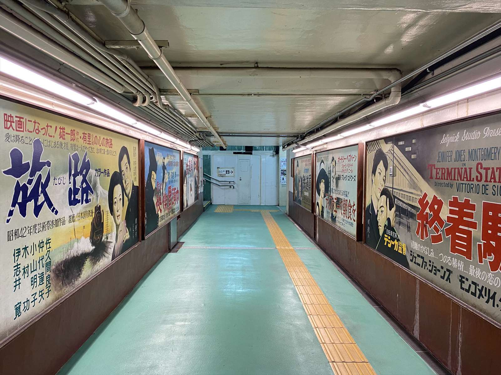 鷹ノ巣山 峰谷から石尾根経由で奥多摩駅 野の花山の花ウォッチング In 奥多摩 鷹ノ巣山 峰谷から石尾根経由で奥多摩駅 野の花山の花ウォッチング In 奥多摩