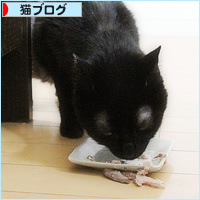 イレーネのもうひとつの障がい_a0389088_16460013.jpg