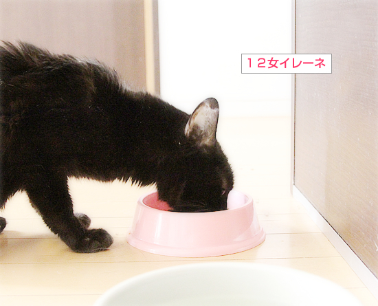イレーネのもうひとつの障がい_a0389088_16460025.jpg