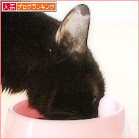 イレーネのもうひとつの障がい_a0389088_16460070.jpg