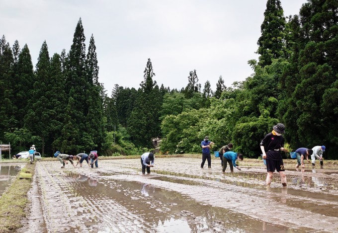 自然米栽培「利賀百姓塾」の田植え_d0265607_12312012.jpg