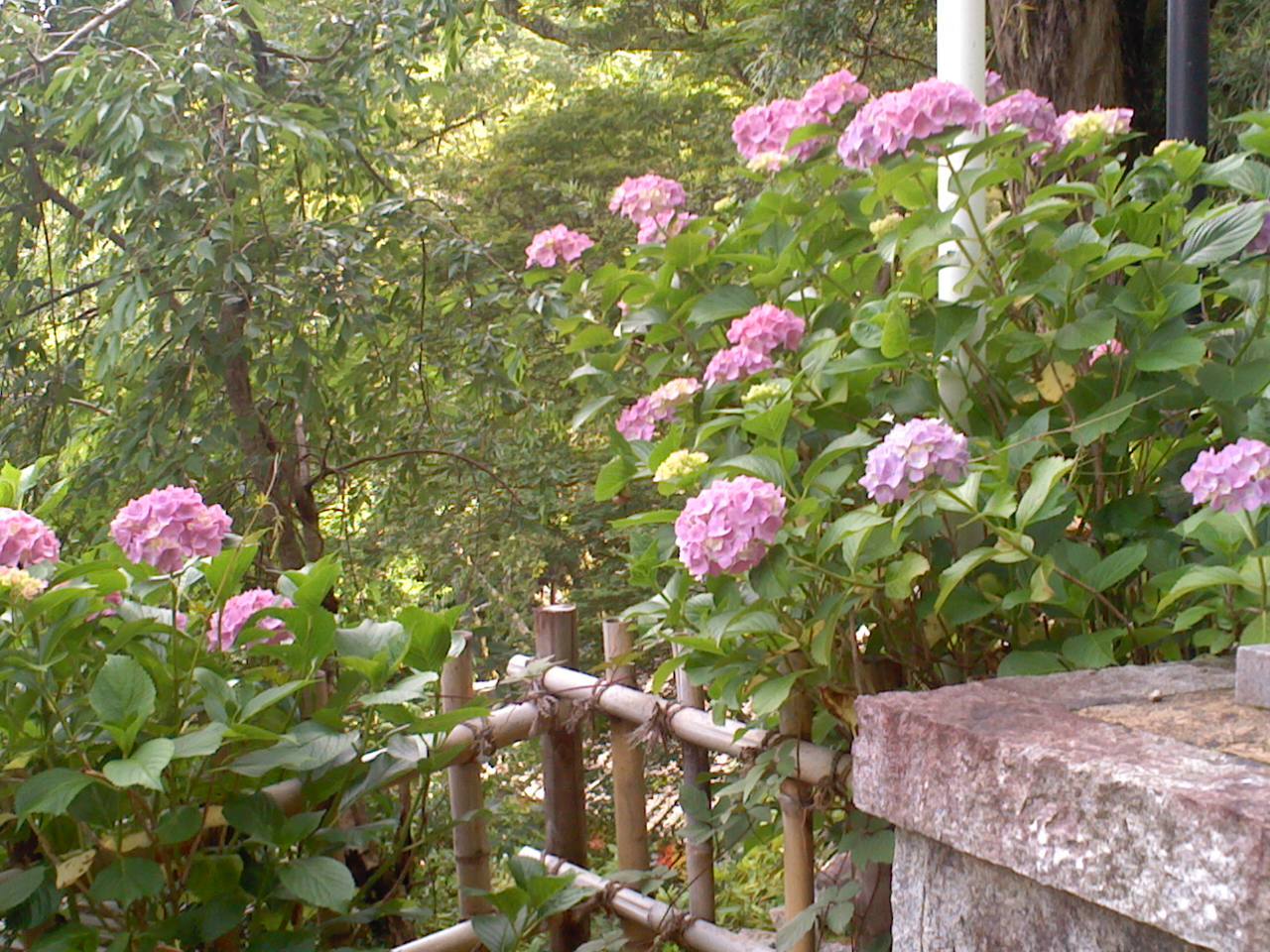 西国札所8番長谷寺_b0109511_21165561.jpg