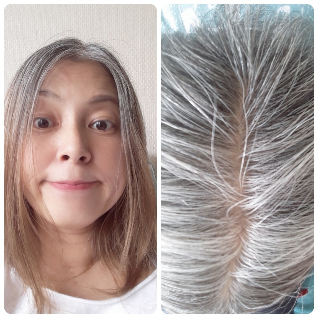 グレイヘア育成中 1年経過 シマシマ269 グレイヘア育成中 1年経過 シマシマ269