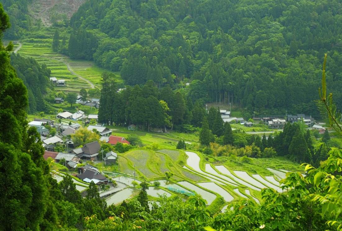 棚田百選 畑　　　滋賀県_d0286954_05315957.jpg