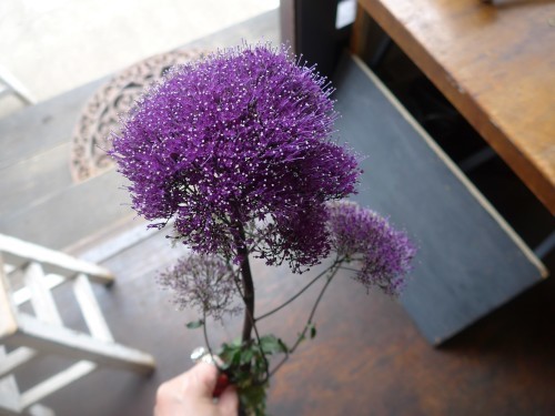 花修行~紫陽花のテーブルリース~_f0232060_18043483.jpg
