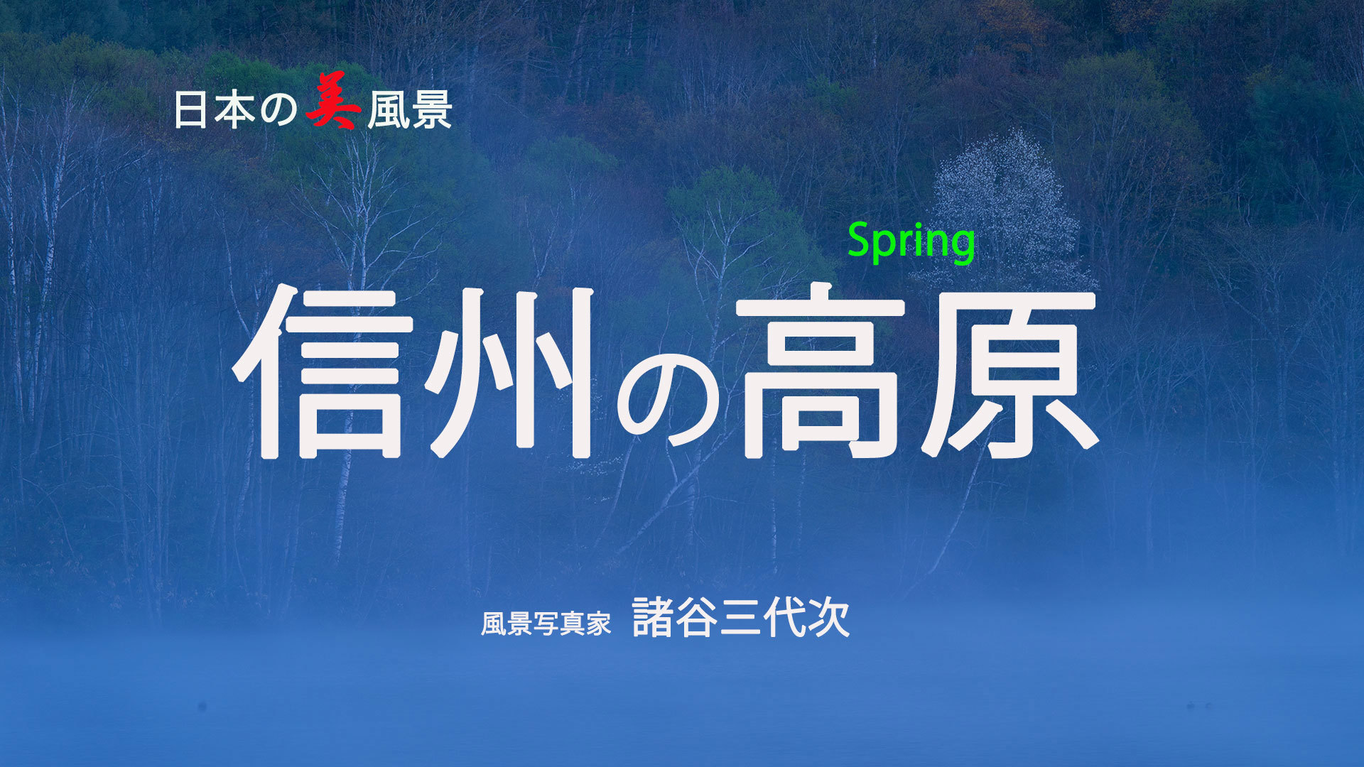 信州の高原_c0085877_20323406.jpg