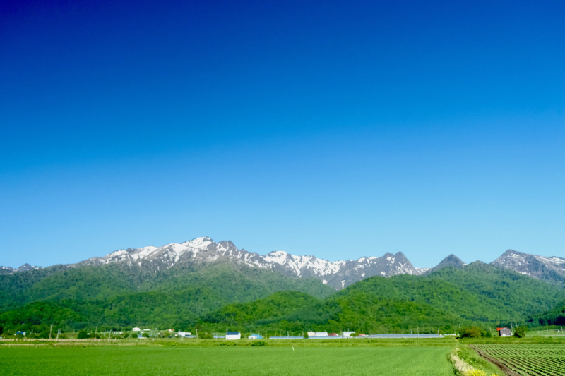 ツクモグサ咲く芦別岳 : その向こうにある風景