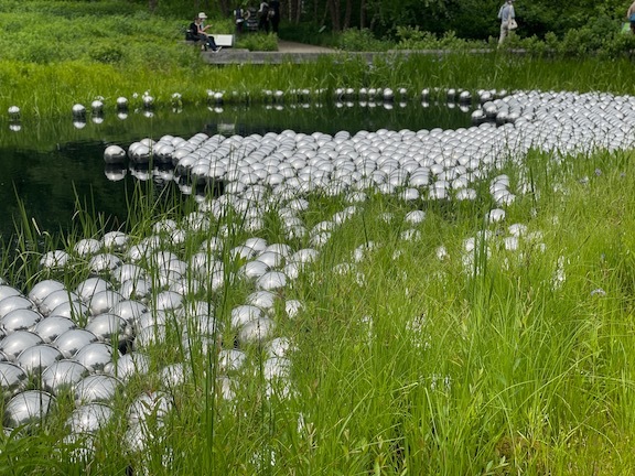 草間彌生になってNY植物園のKUSAMA展に行ったら、すごいことになった！_c0050387_16164336.jpeg
