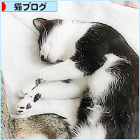 しあわせの風景_a0389088_18045812.jpg
