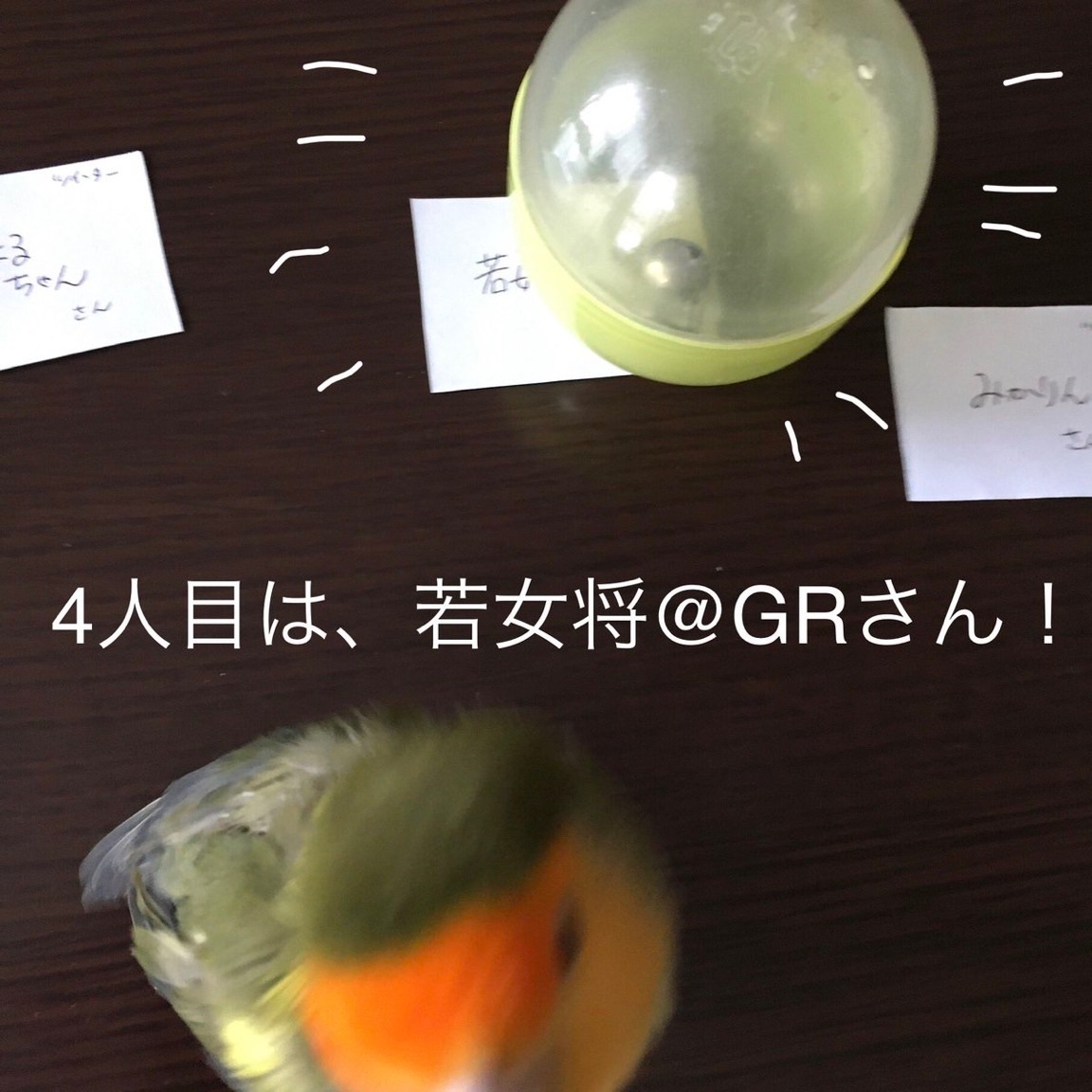 たくさんのご応募ありがとうございました!注文制作抽選発表です。_d0123492_16372482.jpeg