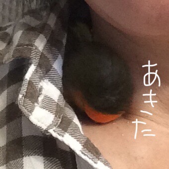 たくさんのご応募ありがとうございました!注文制作抽選発表です。_d0123492_16385262.jpeg