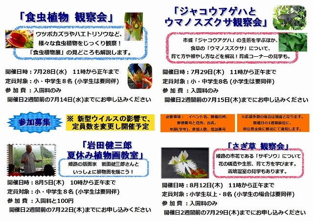 夏を想わせる花_f0203094_09281280.jpg