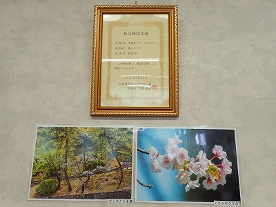 写真じゃないよ線画展_f0203094_11083522.jpg