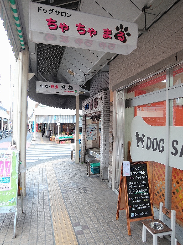 ある風景:Shirahata, Oguchi@Yokohama #4_d0393923_23011086.jpg
