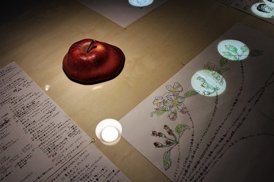 弘前れんが倉庫美術館 展覧会/春夏プログラム「りんご宇宙」_d0131668_11184804.jpg