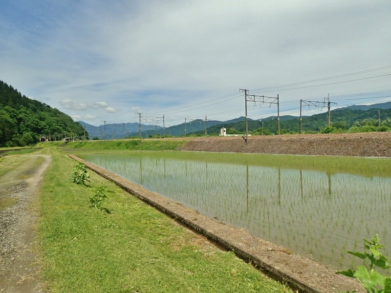 先週末の兼業農家はシーズン最初の田んぼの草刈り作業_c0336902_18260835.jpg