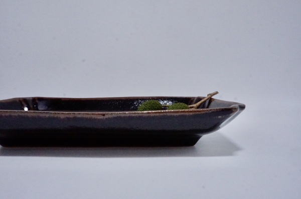 菅野一美 陶展 明日からです(6/9~14)_b0132442_16571332.jpeg