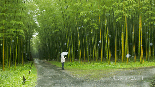 若竹の杜 若山農場　～雨が降ったらおススメ～　_e0227942_22042707.jpg