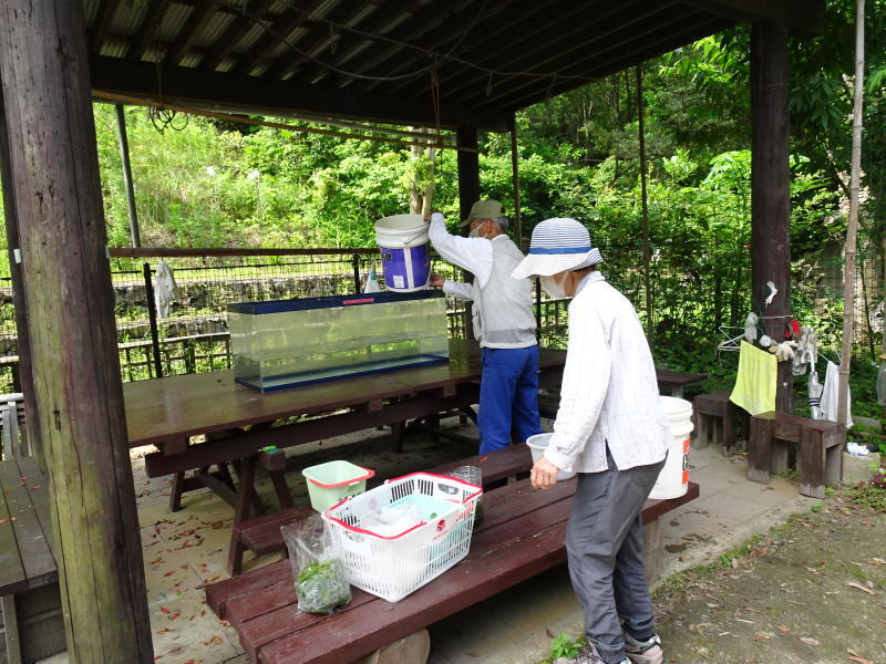 子メダカ飼育準備・・・うみべの森_c0108460_12253523.jpg