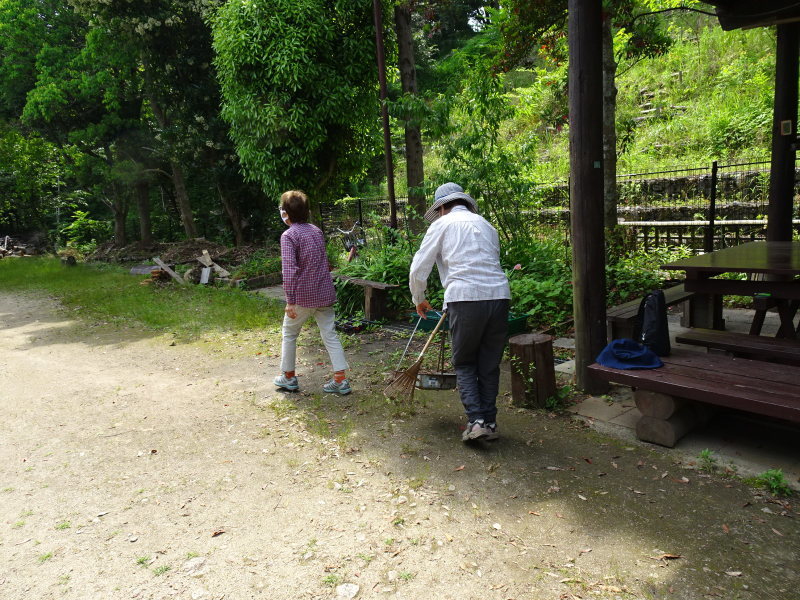 子メダカ飼育準備・・・うみべの森_c0108460_12292960.jpg