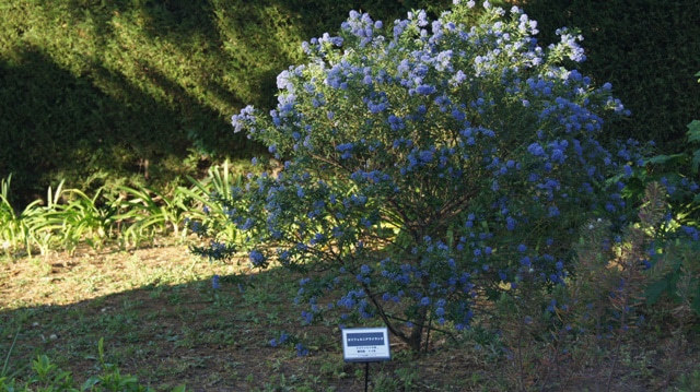 横浜アメリカ山公園~♥_f0029571_12251025.jpg