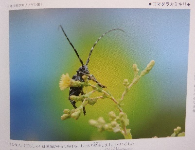植松氏の訃報が_e0077899_14255108.jpg
