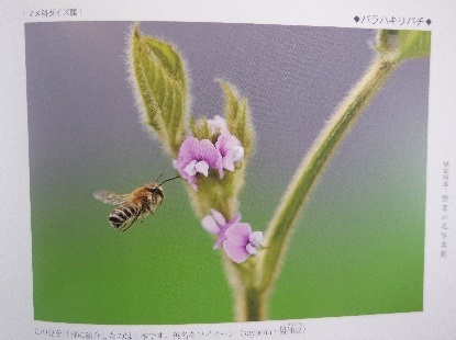 植松氏の訃報が_e0077899_14261328.jpg