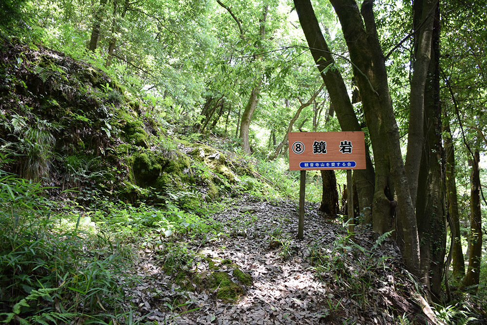 近江横山城攻城記。　その１　＜観音寺登山口～峠地蔵＞_e0158128_13492543.jpg