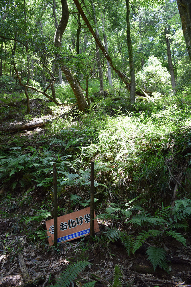 近江横山城攻城記。　その１　＜観音寺登山口～峠地蔵＞_e0158128_13515246.jpg